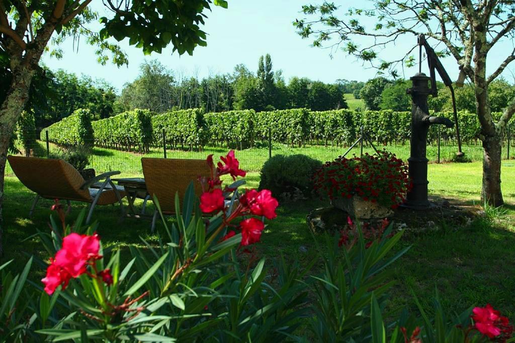 Bleu Raisin Bed and Breakfast Les Salles-de-Castillon Buitenkant foto