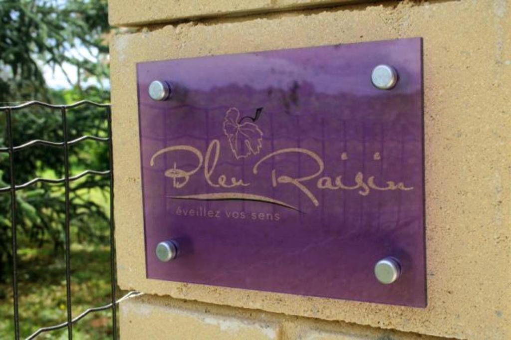 Bleu Raisin Bed and Breakfast Les Salles-de-Castillon Buitenkant foto