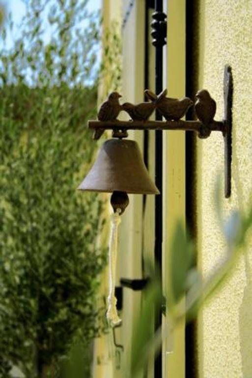 Bleu Raisin Bed and Breakfast Les Salles-de-Castillon Buitenkant foto