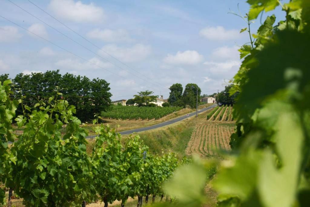 Bleu Raisin Bed and Breakfast Les Salles-de-Castillon Buitenkant foto